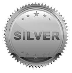 Silver Sponsorship